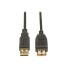 TrippLite 10ft USB AA 2.0 Gold Extension Cable